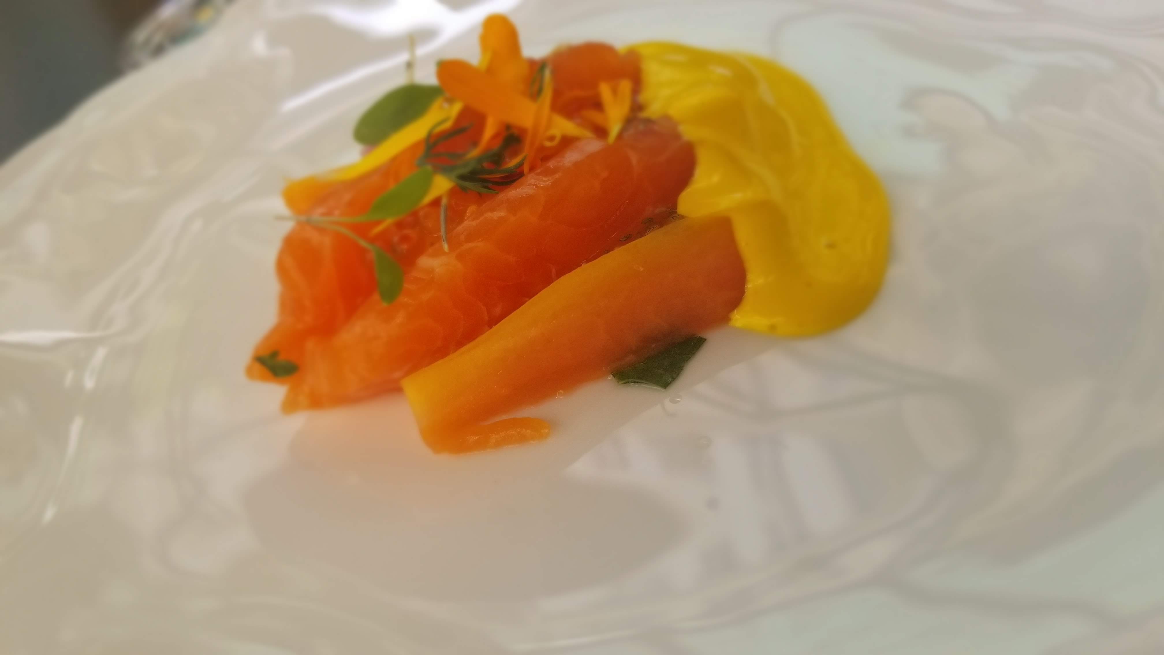 Salmon